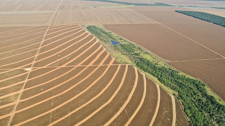 Uppodlad f.d. skogsmark i Mato Grosso i Brasilien. Foto: Riccardo Pravettoni (https://www.grida.no/resources/3125)