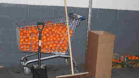 Op Quadrant Coverload of oranges