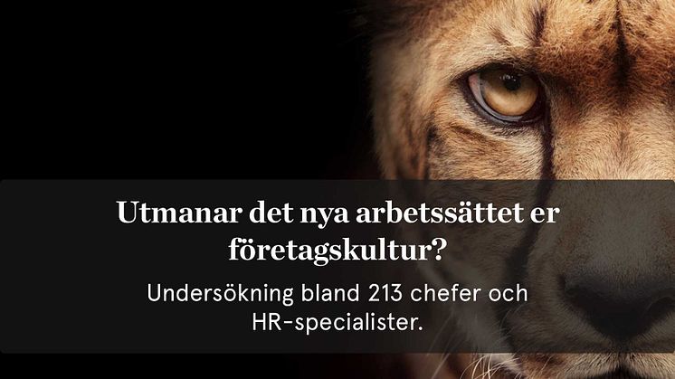 Ny undersökning: Utmanar det nya arbetssättet er företagskultur?