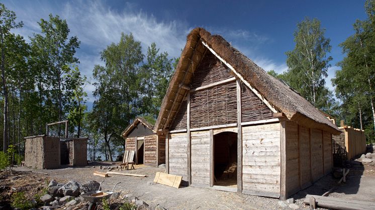 Vikingakvarter står färdigt på Birka i sommar