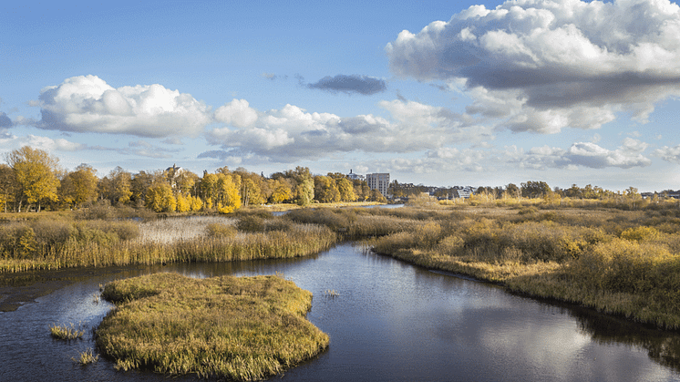 Våtmarkskonferens i Eskilstuna