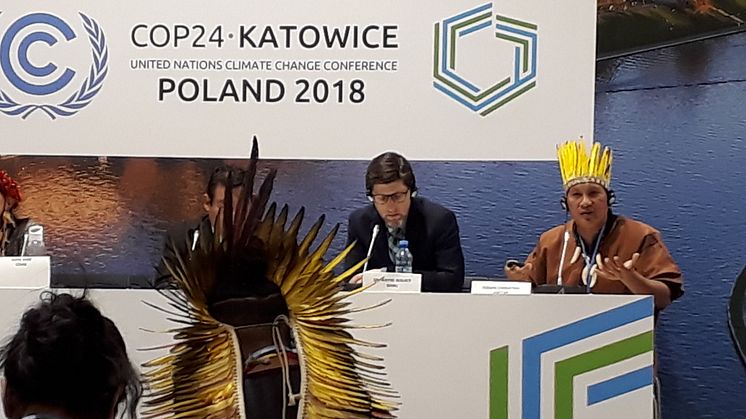 Verdens Skove arbejder i Katowice på at sætte fokus på de manglende referencer til rettigheder i forhandlingsteksten