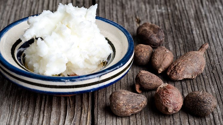 Sheabutter stammt aus den Nüssen des afrikanischen Karitébaums. Bild: luisapuccini I stock.adobe.com