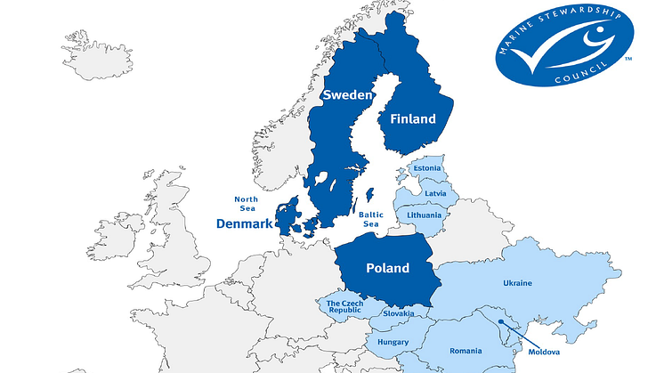 MSC:n Puolan, Ruotsin, Tanskan ja Suomen tiimit yhdistyvät – uusi rakenne Itämeren ja Keski-Euroopan alueelle 