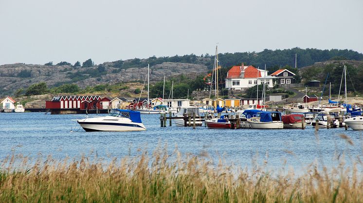 Småbåtshamnar är en miljöfarlig verksamhet och Miljö & Hälsoskydd gör återkommande tillsynsbesök på småbåtshamnar med minst 50 båtplatser.  Foto: Adam Folcker