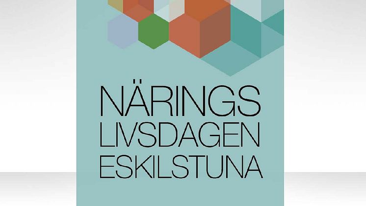 Näringslivsdagen Eskilstuna - möten som stimulerar och utvecklar