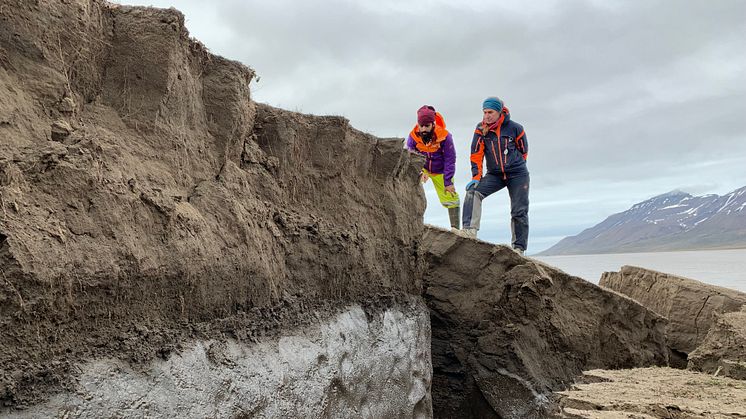 Permafrosten på Svalbard slik den ligger under et aktivt lag som påvirkes av årlige endringer i temperatur. Foto: Graham Gilbert