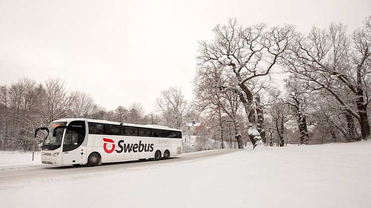Trafikrapport från Swebus: Inga störningar i busstrafiken och 100 extrabussar inför jul