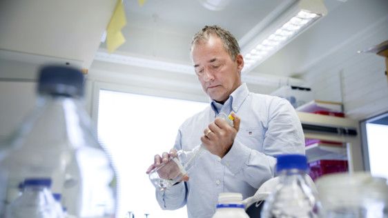 Professor Stefan Björklund in his lab at Umeå University, Sweden.