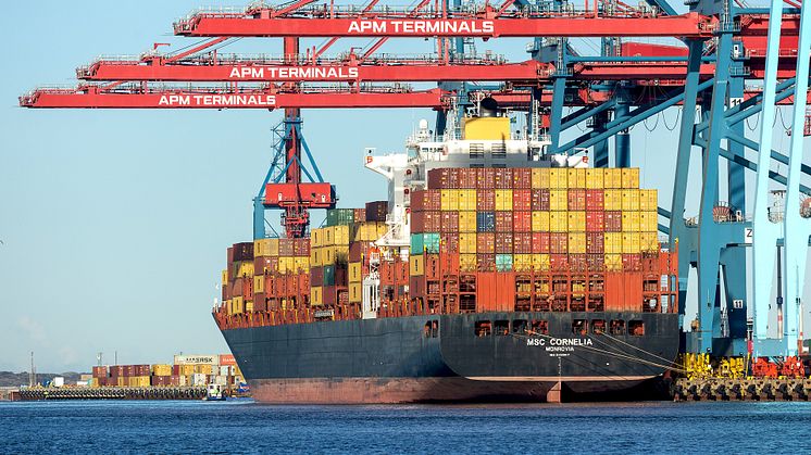 Från februari 2025 utökar MSC sitt nätverk med en ny direktlinje mellan APM Terminals i Göteborg och Asien. Redan idag erbjuder MSC en direktservice mellan Göteborg och USA.