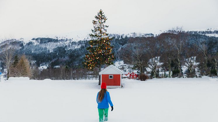 Det er flere måter å ta gode miljøvalg i søken etter den perfekte julegaven.