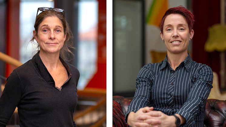 Christine Mulder och Anna-Karin Pernestig, Högskolan i Skövde.