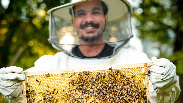 Al-Moussa pěstovat včely na rodinné farmě a letos se k tomu vrátil v rámci inovativního projektu Townbee