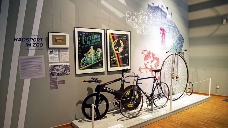 Fahrräder von Jens Lehmann und Uwe Ampler sowie ein Hochrad in der Ausstellung "In Bewegung - Meilensteine der Leipziger Sportgeschichte"