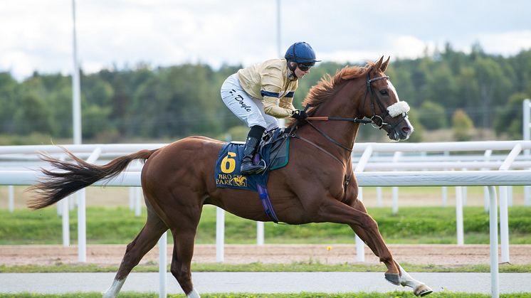 Manitou och Hollie Doyle vinner Appel Au Maitre Svealandlöpning.  Bro Park 220918 Foto: Elina Björklund / Svensk Galopp