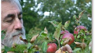  En smak för alla i årets fruktutställning