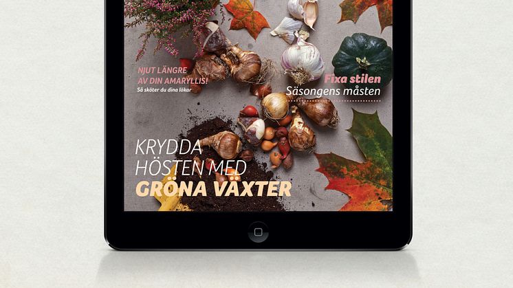 Nytt nummer ute nu av Blomsterlandets Digitala Magasin!