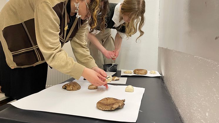 Färgfabrikens ungdomsråd förbereder material till Reclaiming Futures - Storying Change, en Vetenskapsfestival av unga – för unga – med forskare.