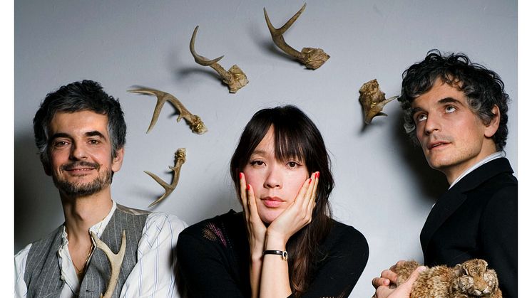 Blonde Redhead (US) till Stockholm