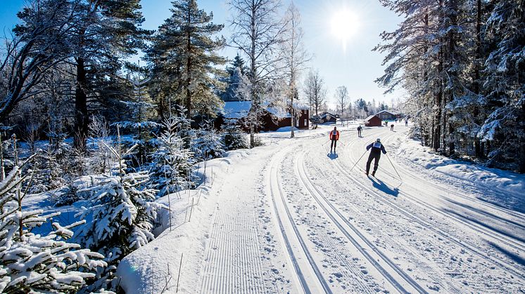 Winners will be crowned in Tjejvasan and Vasaloppet 2021 – Vasaåket 2021, in the Vasaloppet Arena, launched