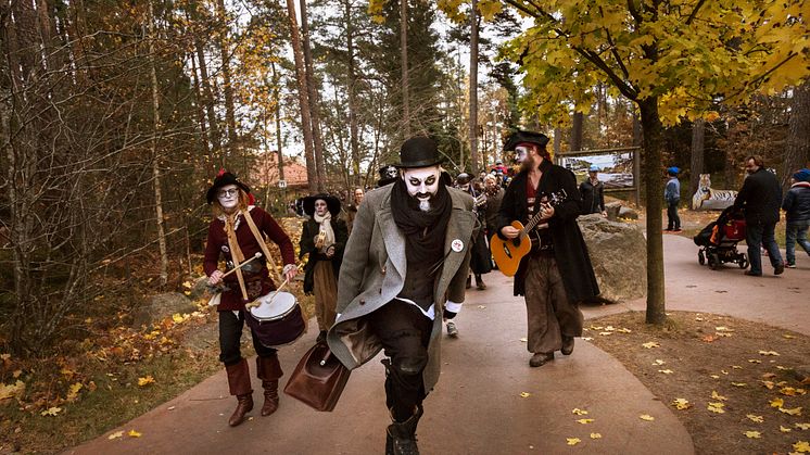 Besöksrekord för Kolmården under Halloween