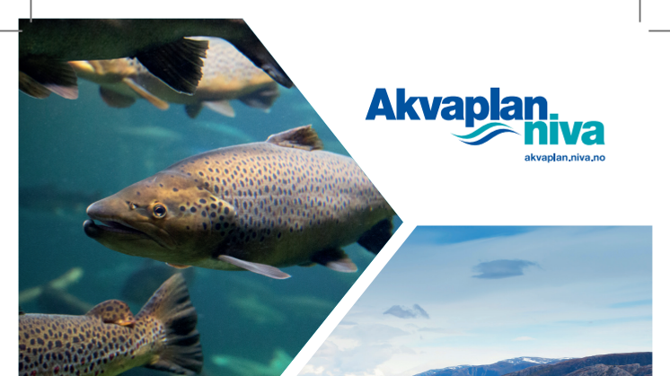 Brosjyre Akvakultur-rådgivning og forskning Akvaplan-niva
