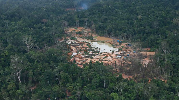 Minedrift på de oprindelige folk Yanomamis landområder - Greenpeace 
