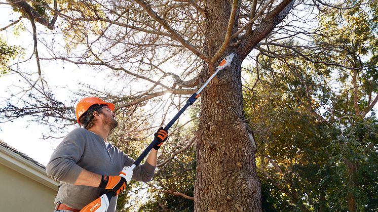 Takket være en lav vægt og en fremragende balance bidrager den batteridrevne stangsav STIHL HTA 50 til et enkelt og problemfrit havearbejde.