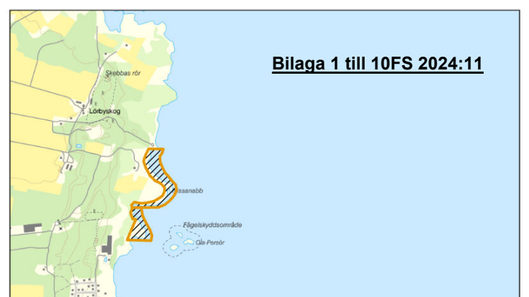 2141-2024 Bilaga 1(28651891).pdf