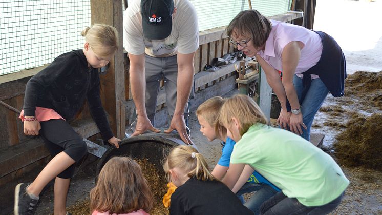 Grundschüler aus Oberbrügge auf Bauernhof-Entdeckungstour