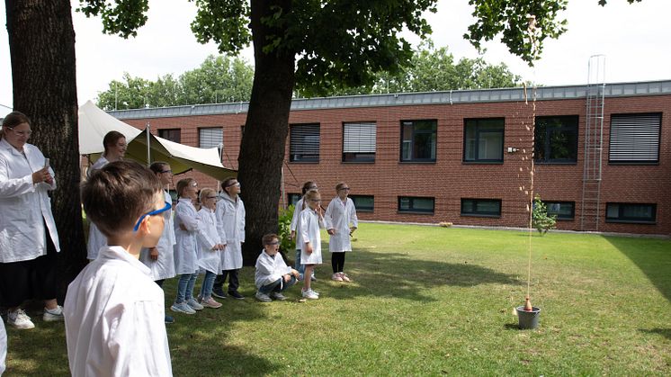 Chemie-Experimente beeindrucken Kinder an der Universität Vechta in den Sommerferien 2024