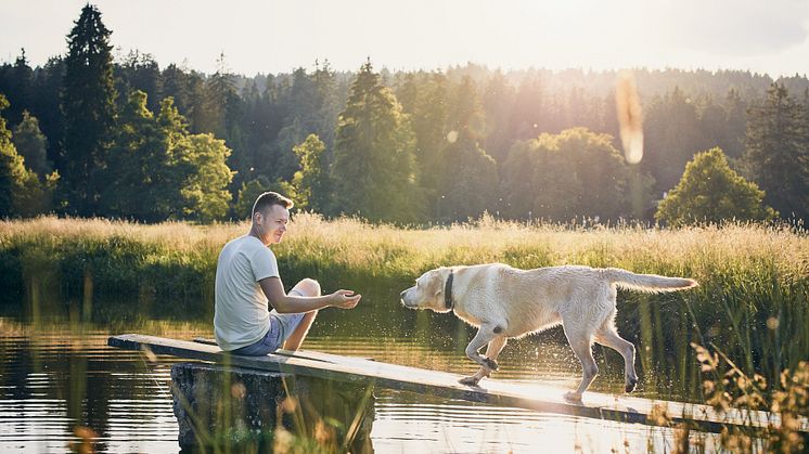 Källa: Doggy AB