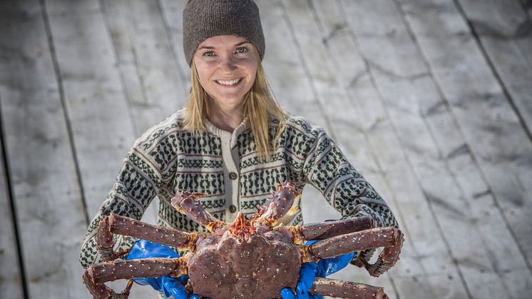 Vi ser vesentlig høyere priser på både snøkrabber og kongekrabber så langt i år enn for samme periode i fjor.