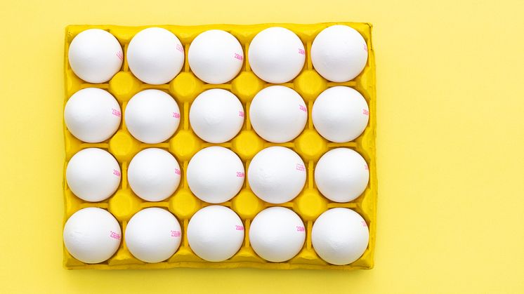 "Ägg behöver inte vara komplicerat, ett helt kokt ägg med salt är oslagbart som vardagsmat" säger mathistorikern Richard Tellström.
