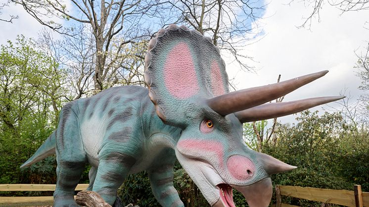 Triceratops im Zoo Leipzig 