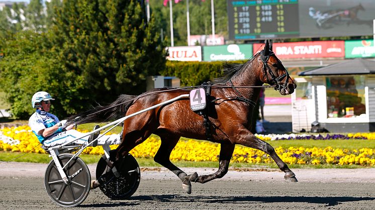 Propulsion inför sitt Elitloppsförsök 2018. Foto: Maria Holmén/TR Bild