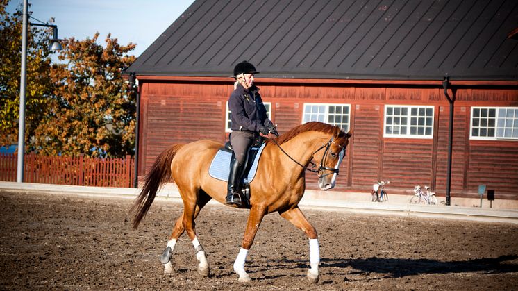 Häst och ryttare på en ridbana. Fotograf: Jenny Svennås Gillner