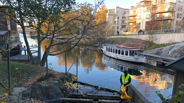 Fryshuset Basket städade fisktrappan i Sickla Sluss. Foto: Josefin Warg/Städa Sverige