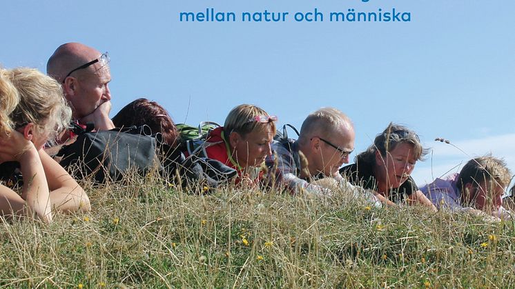 Naturvägledning i Norden. En bok om upplevelser, lärande, reflektion och delaktighet i mötet mellan natur och människa
