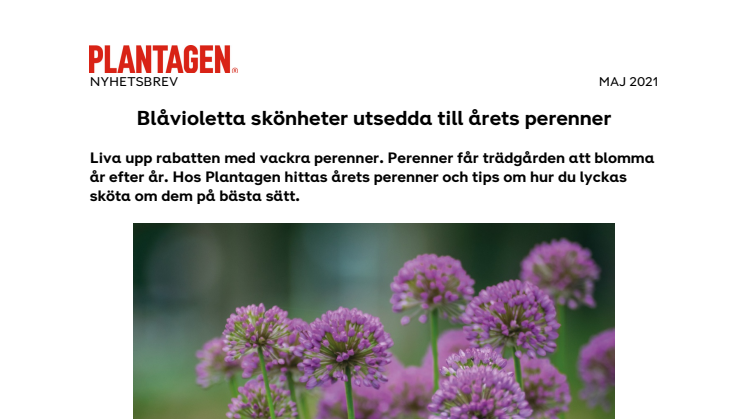 NYHETSBREV - Blåvioletta skönheter utsedda till årets perenner.pdf