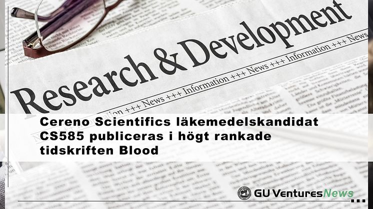 Cereno Scientifics läkemedelskandidat CS585 publiceras i högt rankade tidskriften Blood med lovande prekliniska data för förebyggande av trombos