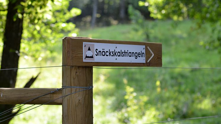 Den nya vandringsleden Snäckskalstriangeln passerar genom tre skalgrusområden i Uddevalla.