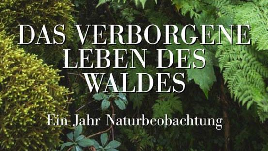 Buchtipp: Das verborgene Leben des Waldes