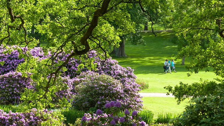 Stort evenemang kommer till Brunnsparken