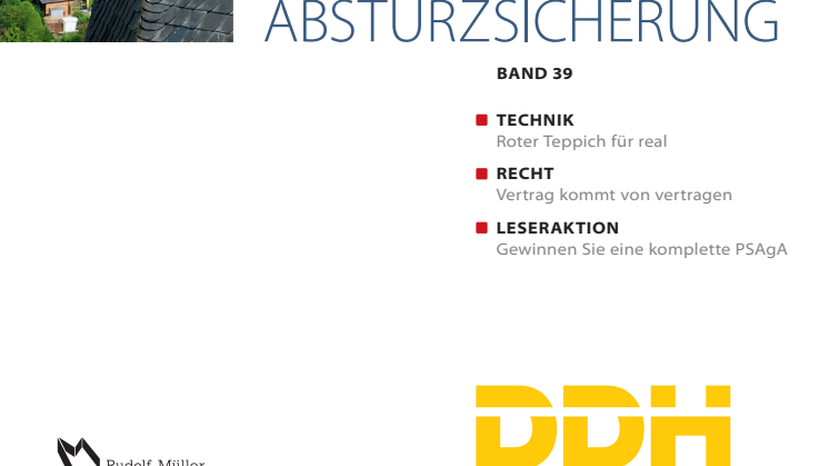 DDH Ratgeber Absturzsicherung (pdf)