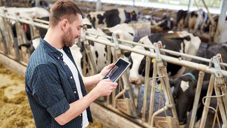 Nya digitala lösningar som underlättar eller effektiviserar vardagen för lantbruket utvecklas hela tiden.  Foto: Shutterstock