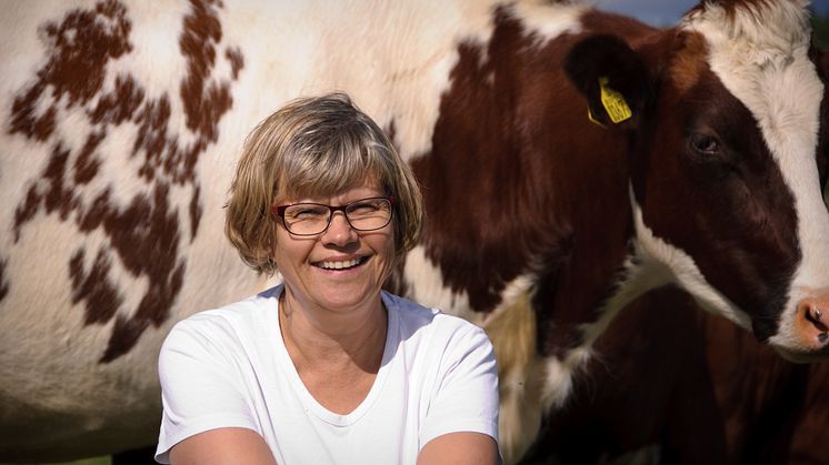 – Mjölkbönderna blir färre och det är allt mer angeläget för branschfolket att träffas, säger Britt-Marie Jafner, som håller ihop programmet för djurvisningarna på Elmia Lantbruk i höst. 