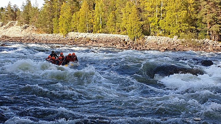 Bild från Forsknäckarna