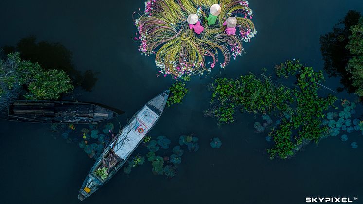 2018 SkyPixel Contest-Photo Group-First Prize-Fun-Flowers on the water