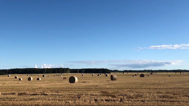 Landsbygdsminister Anna-Caren Sätherberg träffar LRF på rundresa i Skaraborg